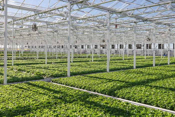 La course &agrave; pied en hiver au Qu&eacute;bec