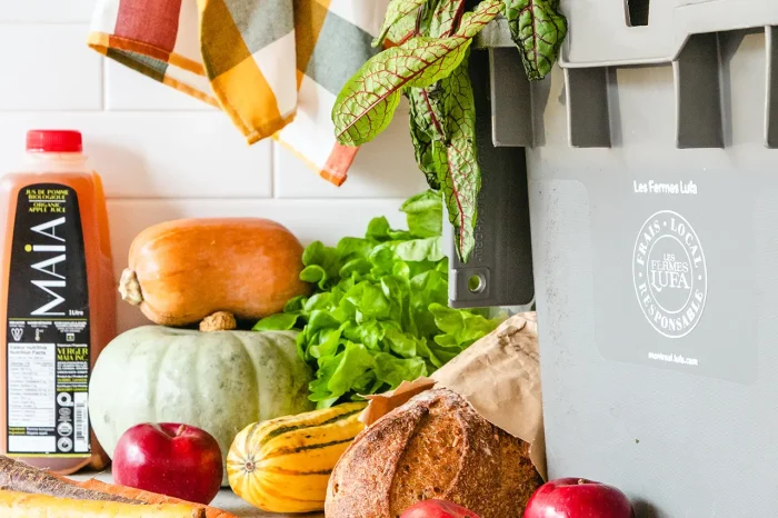 La course &agrave; pied en hiver au Qu&eacute;bec